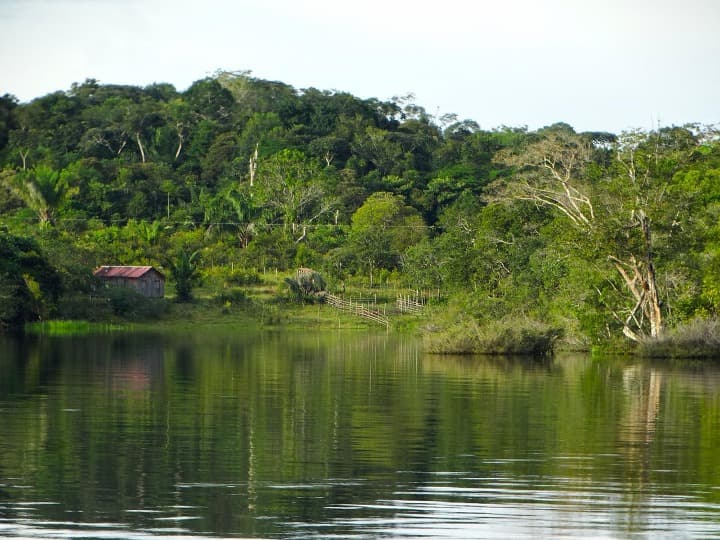 paisaje natural verde en el rio amazonas, algo que ver en perú - weroad