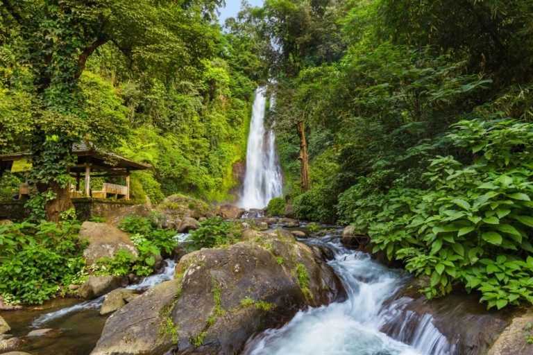 Cascada de gitgit en bali, en medio de vegetación verde y frondosa