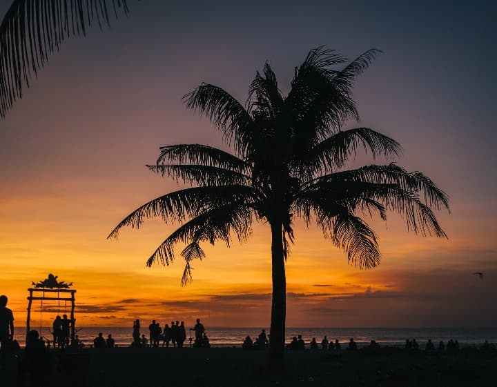 playa seminyak al atardecer, palmera en primer plano, gente al fondo