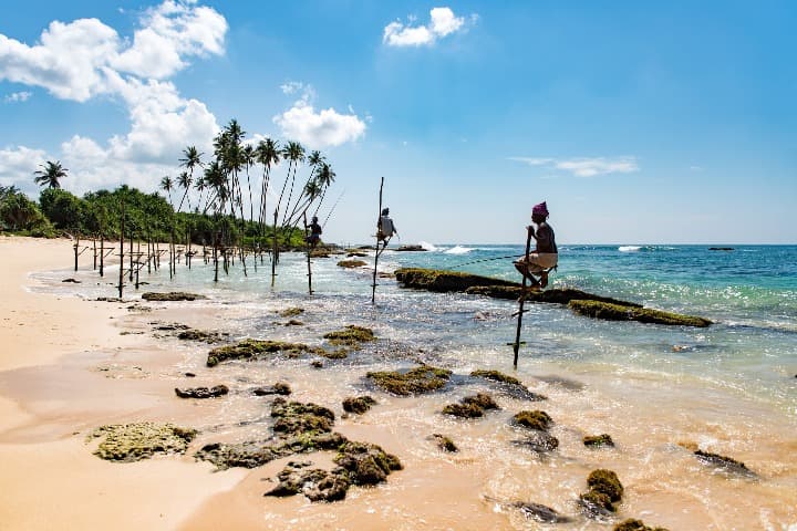 ¿sri lanka que ver? mirissa beach o playa de mirissa, personas subidas a un palo pescando, dentrás palmeras