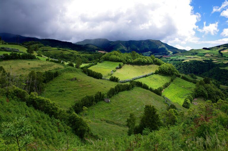 campos verdes y praderas en isla la graciosa - weroad