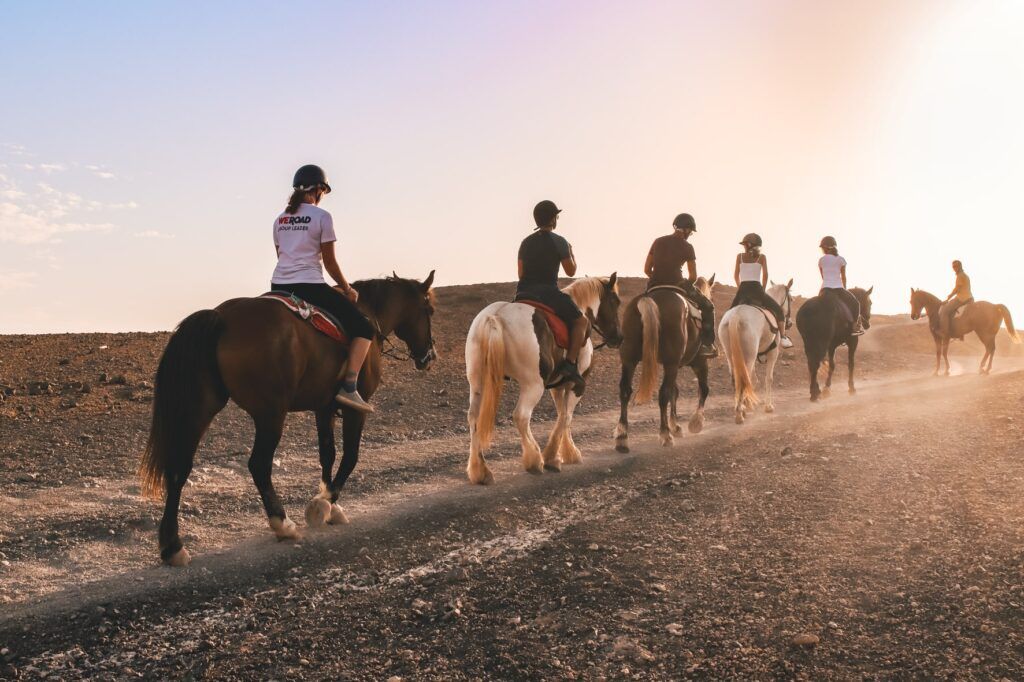 grupo de viajeros de weroad en canarias montados a caballo fotografiados de espalda mietras recorren un sendero