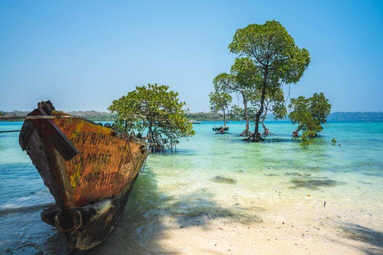 barco en una playa con arboles detrás en una de las islas aldaman, india - weroad