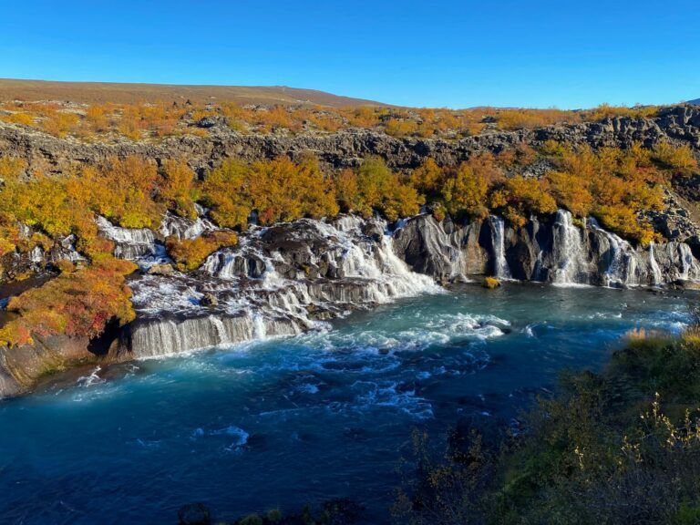 cascada de hraunfossar, detrás un bosque con arboles marrones, delante agua - weroad
