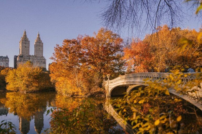 arboles con hojas naranja y de fondo rascacielos en nueva york, iudad a la que viajar en otoño