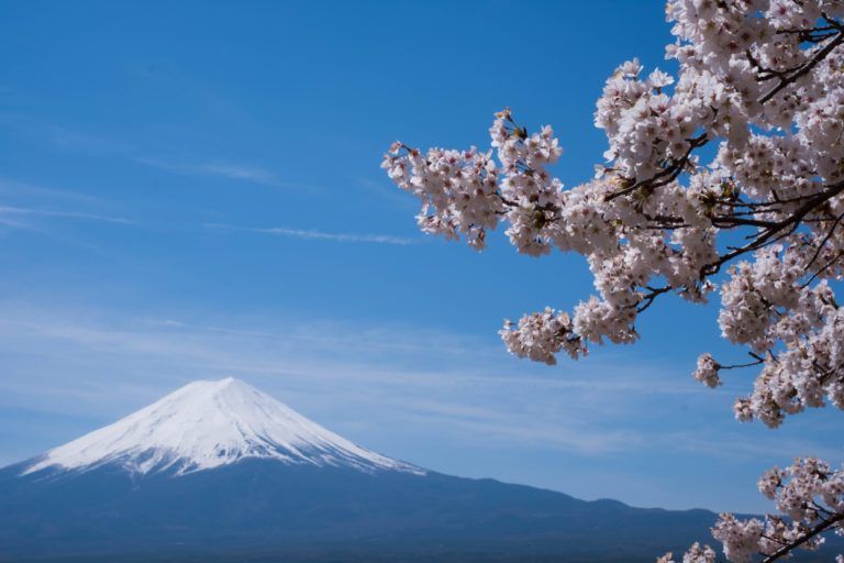 monte fiji, cielo azul y rama de flores de cerezo en japon