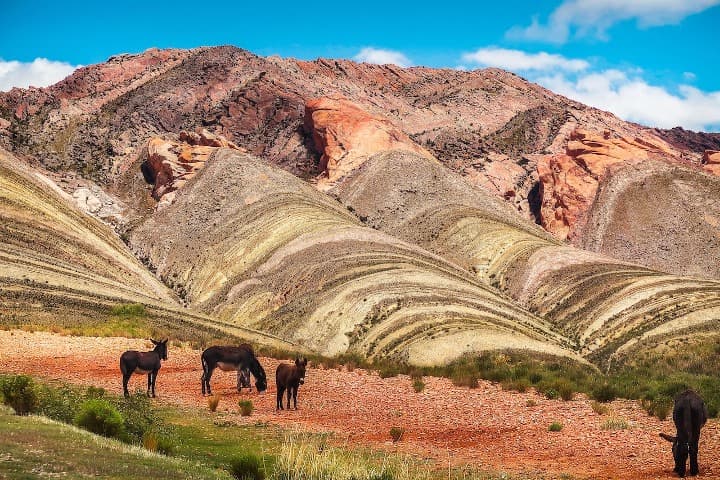 montañas de colores en quebrada de humahuaca, asnos en primer plano - weroad