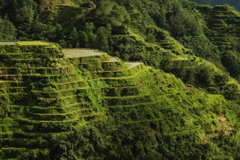 terrazas de arrozales verdes en banaue - weroad
