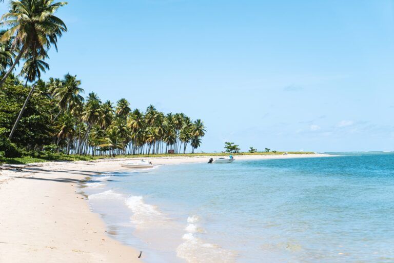 playa dos Carneiros, brazil, palmeras y dos lanchas en la orilla - weroad
