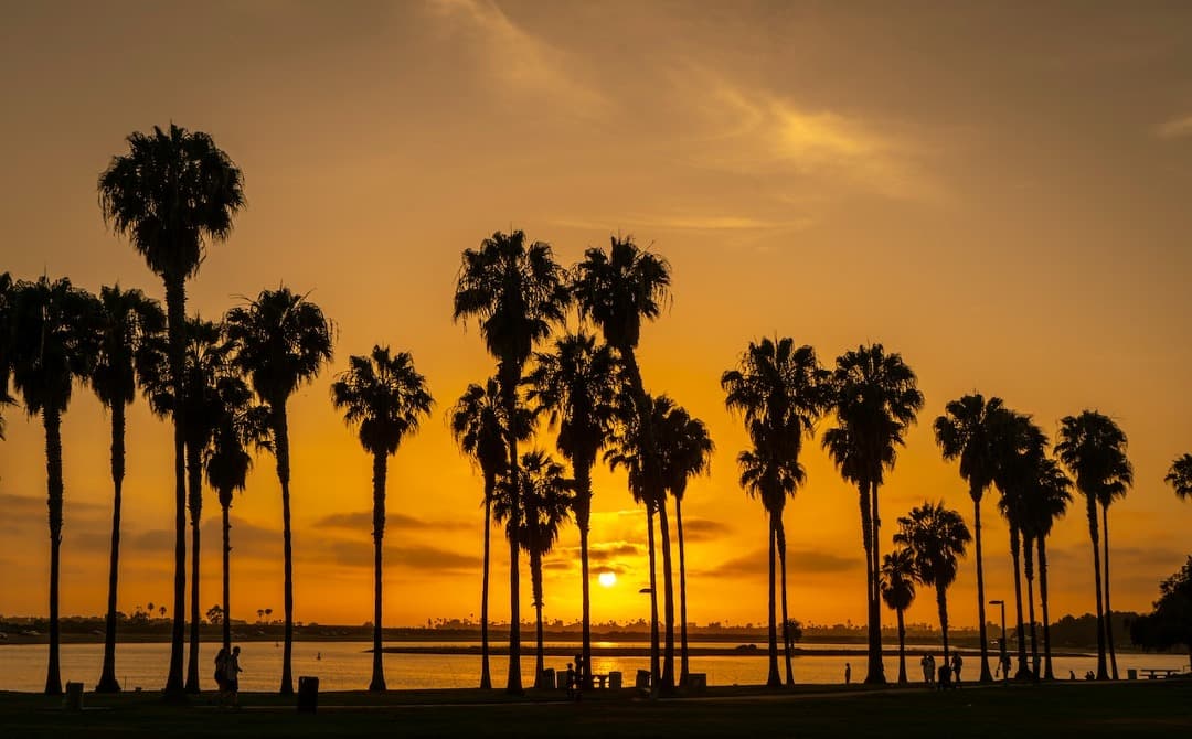 Qué ver en San Diego, cuna de la soleada California