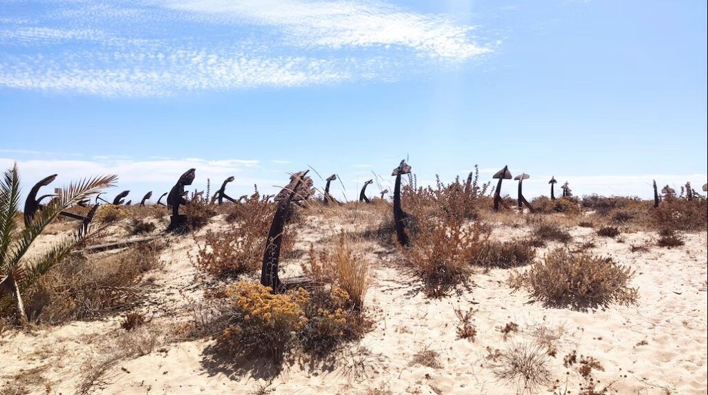 playa de tavira, arbustos y cuelo azul. una de las playas de portugal que visitar - weroad