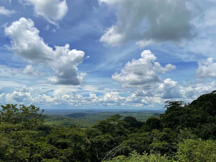 bosque verde inmenso y cielo azul con nubes en la provicia de mondulkiri - weroad
