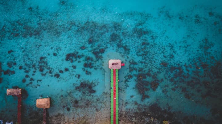 vista zenital de un muelle en medio del agua en laguna bacalar - weroad