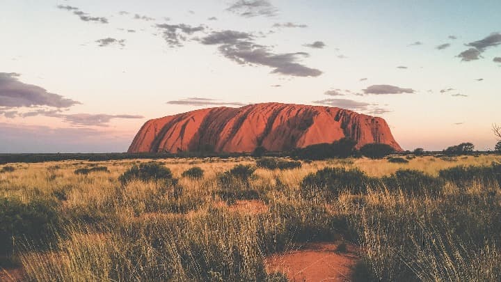monolito uluru en australia, delante verde y detrás cielo rosado - weroad