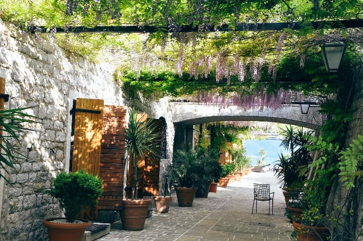 paredes de rocas con puertas de mader en calle cubierta de glicina en budva, montenegro - weroad
