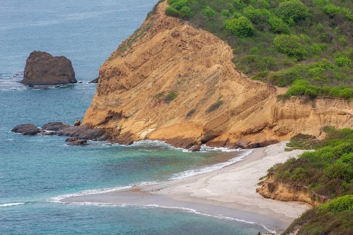 acantilado a orilla del mar con arboles encima, playa de los frailes en ecuador - weroad