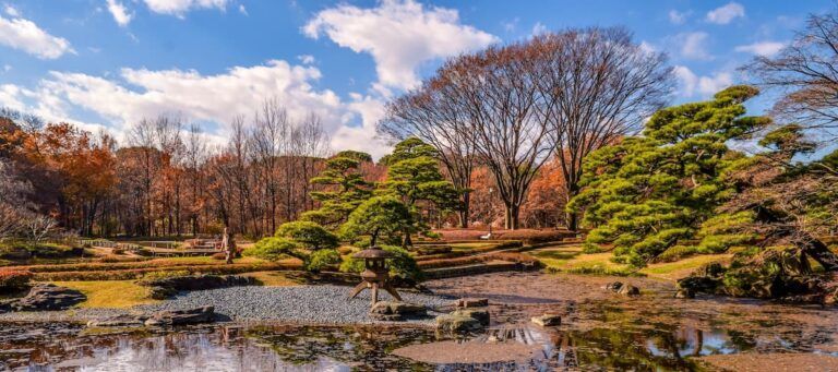 Arboles y vegetación verdes y marrones en japon