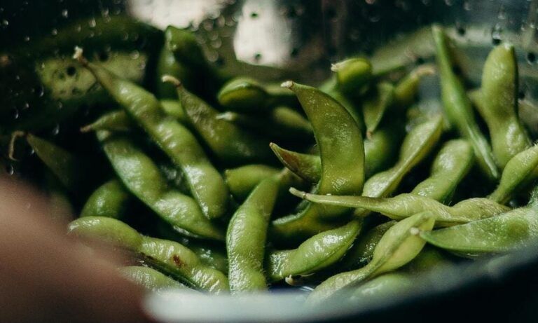 edamame, comida típca de japón - weroad