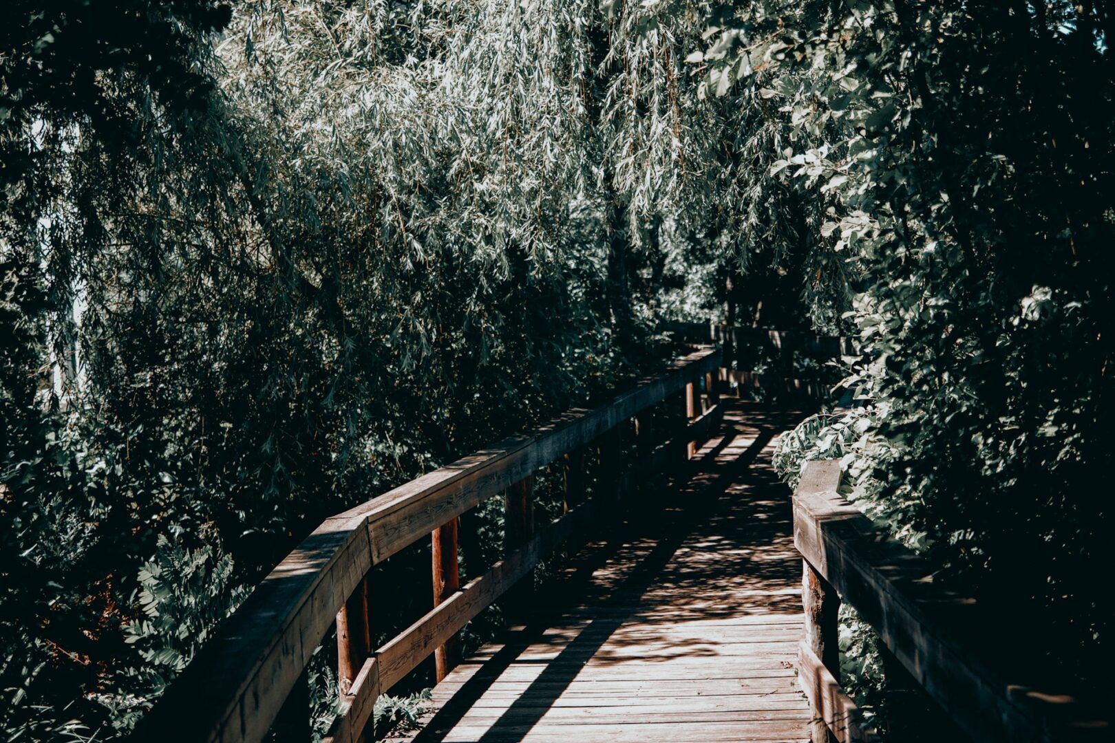 10 Pasarelas para conocer el Portugal más salvaje