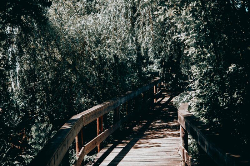 10 Pasarelas para conocer el Portugal más salvaje