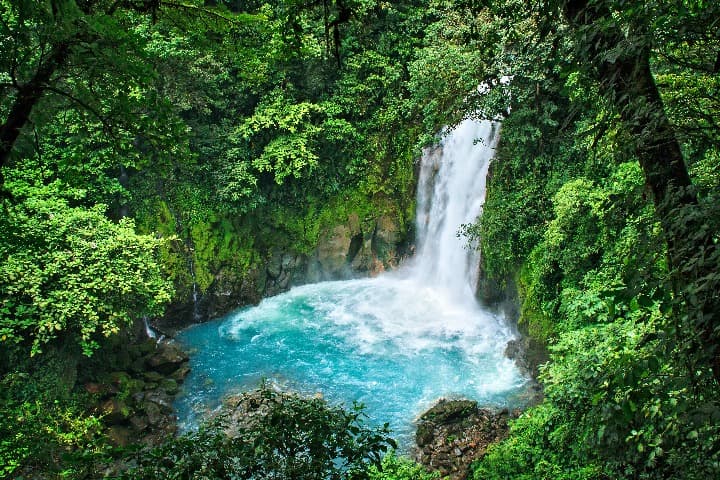 cascada de agua en medio de plantas verdes en costa rica