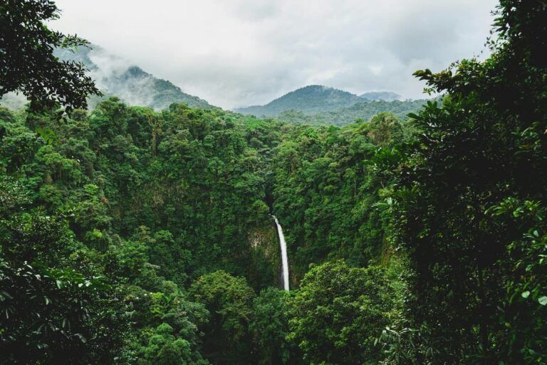 cascada en costa rica, en medio de árboles. destino a donde viajar en mayo
