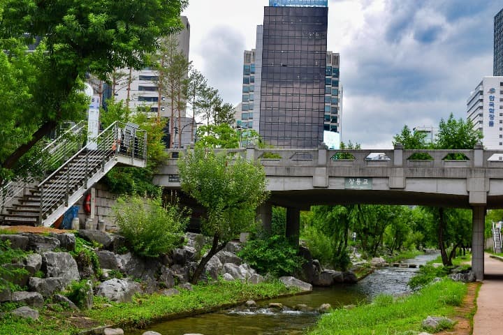 canal fluvial de Cheonggyecheon, rascacielos en el fondo y vegetacion al lado de un rio
