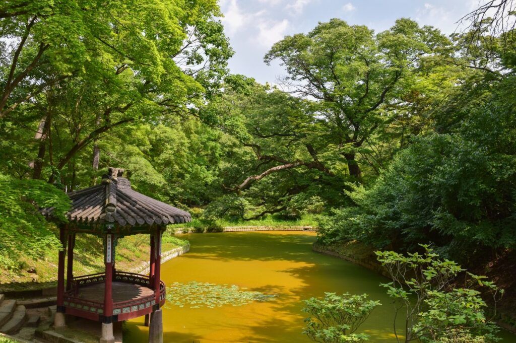 jardin del palacio de Changdeokgung, lago y estructura con techo