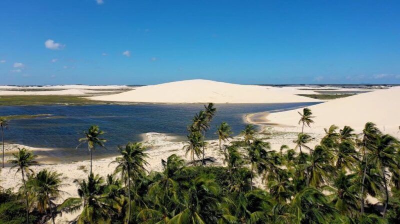 Dunas de arena blanca rodeando lagunas de agua azul con palmeras en primer plano bajo un cielo despejado en Jericoacoara, Brasil.