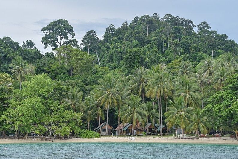 Buceo y snorkel en Tailandia: la guía definitiva de los mejores spots y vida marina