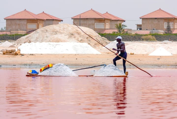 hombre con palo en medio del lago retba color rosa, algo que ver en senegal