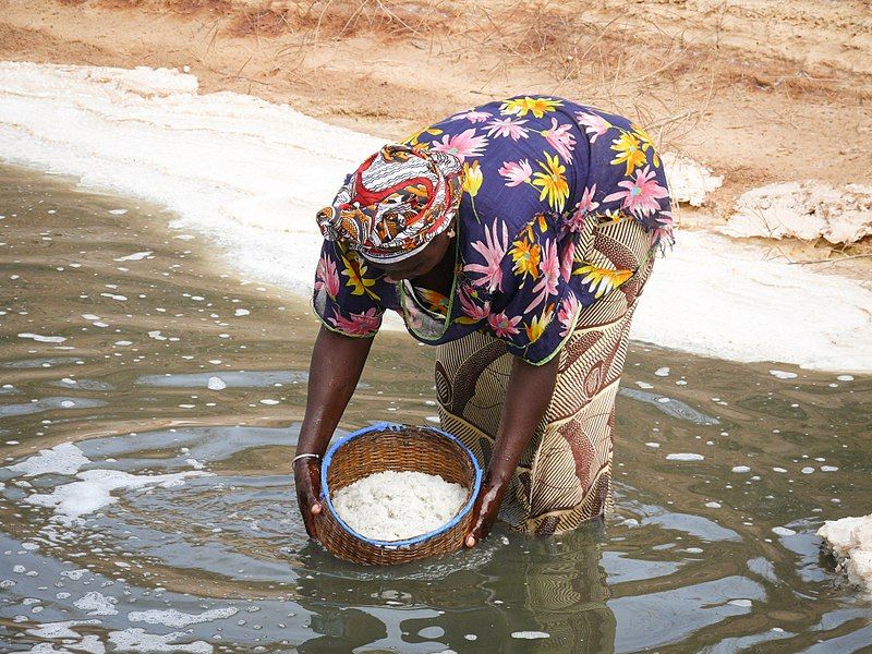 mujer agacahada en el agua recogiendo moluscos en palmarin, algo que ver en senegal