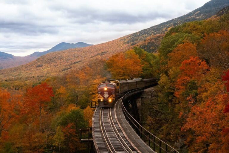 tren en medio de bosque con árboles anaranjados, viajes en tren