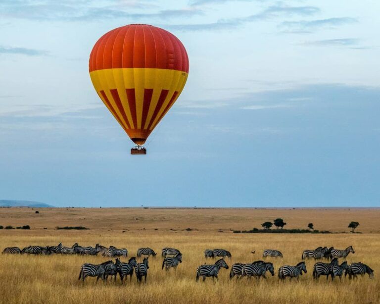 globo aerostático y cebras en la sabana de kenia. destino ideal a donde viajar en marzo