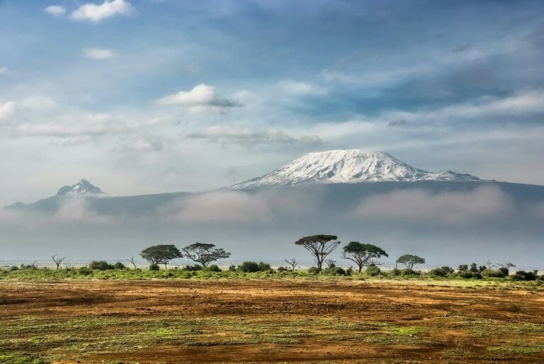 montaña al fondo y arboles en el Amboseli National Park, algo que ver en kenia