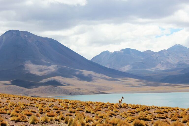 lago y montañas al fondo, algo que ver en chile