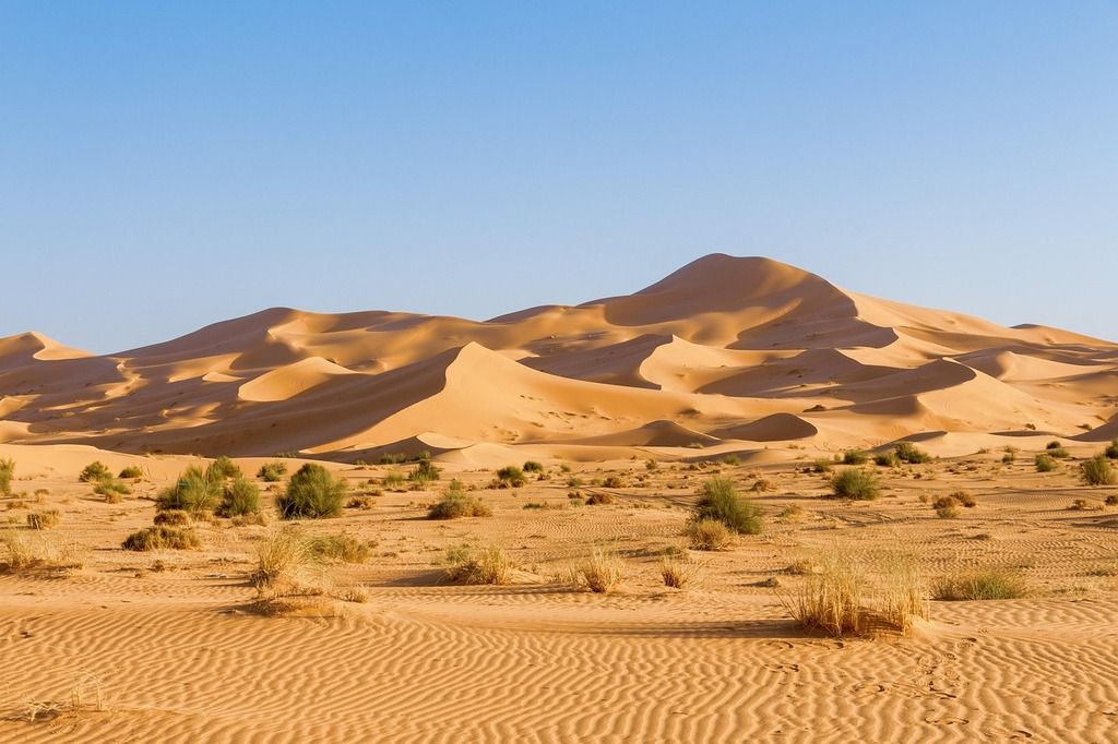 Dunas doradas del desierto del Sahara bajo un cielo despejado.