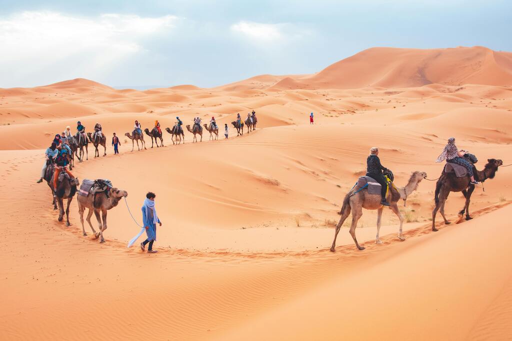 Caravana de camellos en el desierto del Sahara
