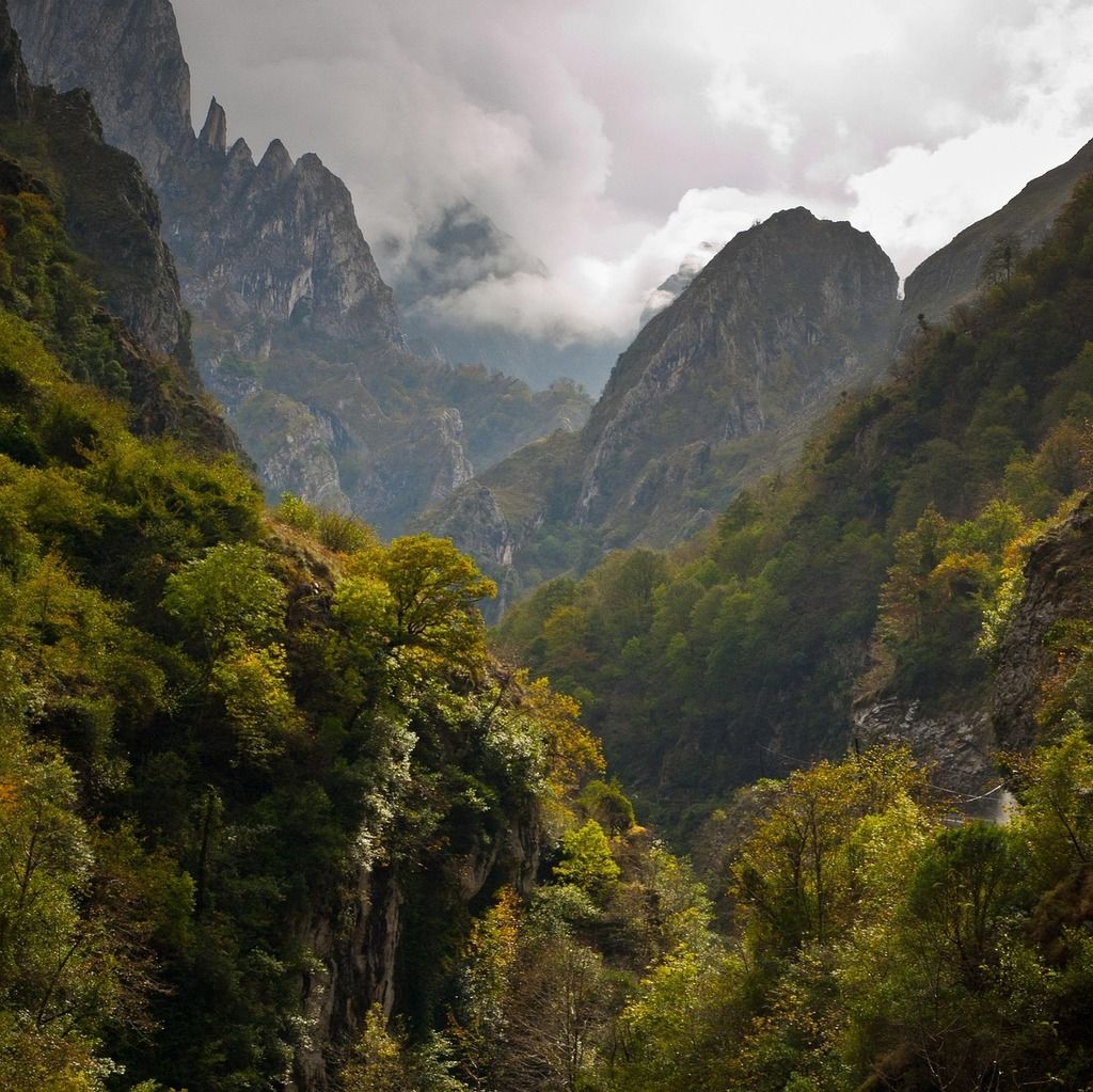 Paisaje montañoso con niebla en el Parque Nacional de los Picos de Europa, España