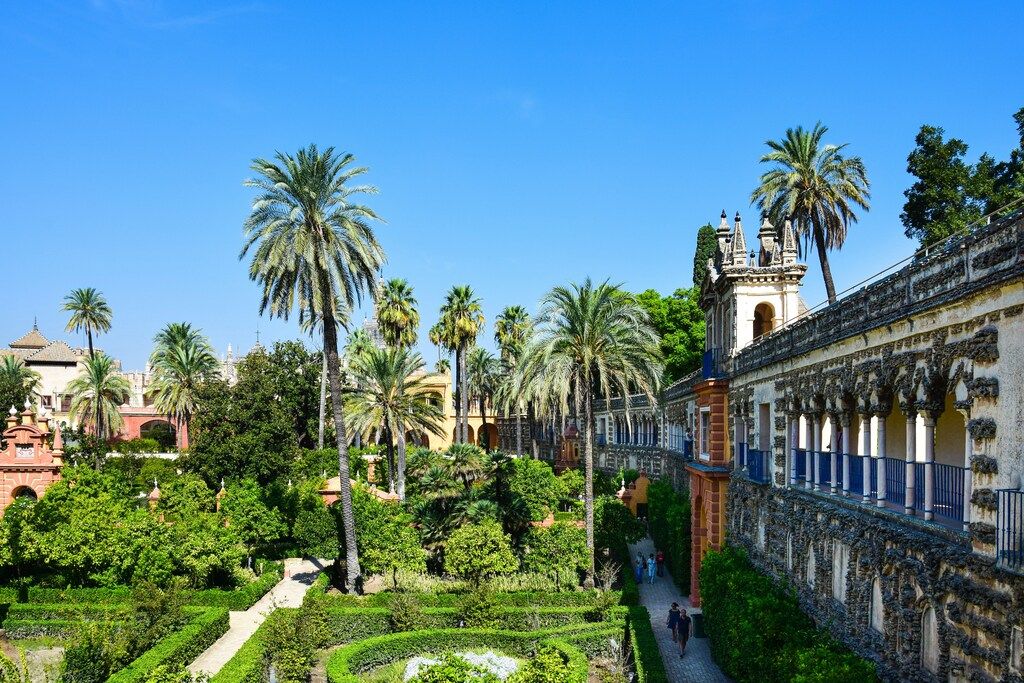 Jardines del Real Alcázar de Sevilla con palmeras y arquitectura morisca al fondo