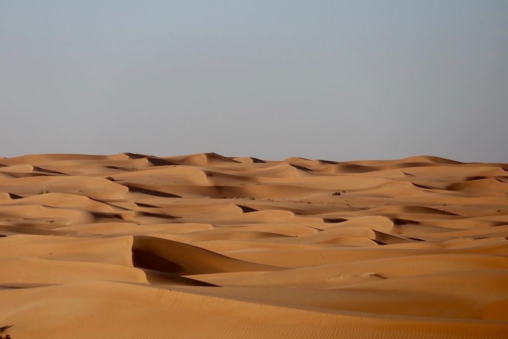 Dunas del desierto bajo un cielo despejado