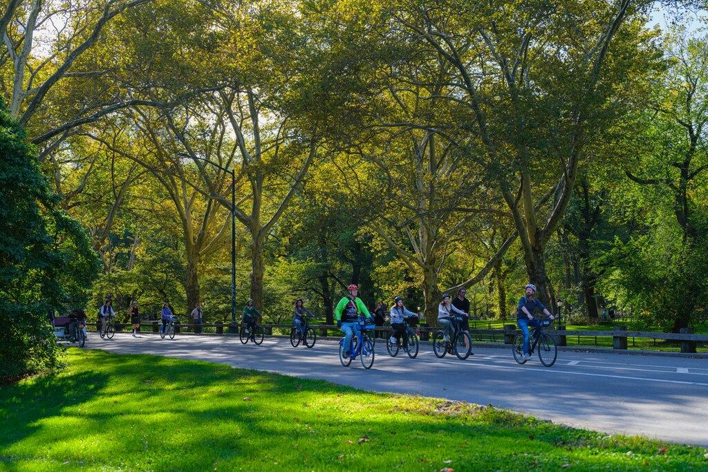 Grupo de ciclistas disfrutando de un paseo bajo árboles frondosos en un Central Park, Nueva York