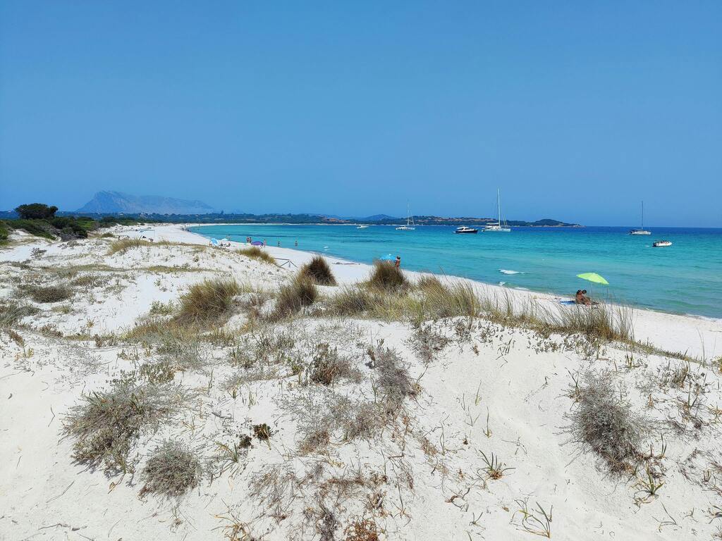 Cala Brandinchi, con dunas y mar turquesa en la costa de Cerdeña.
