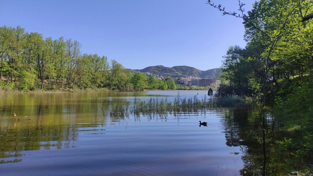 Gran Parque de Tirana con vista a las colinas y edificios
