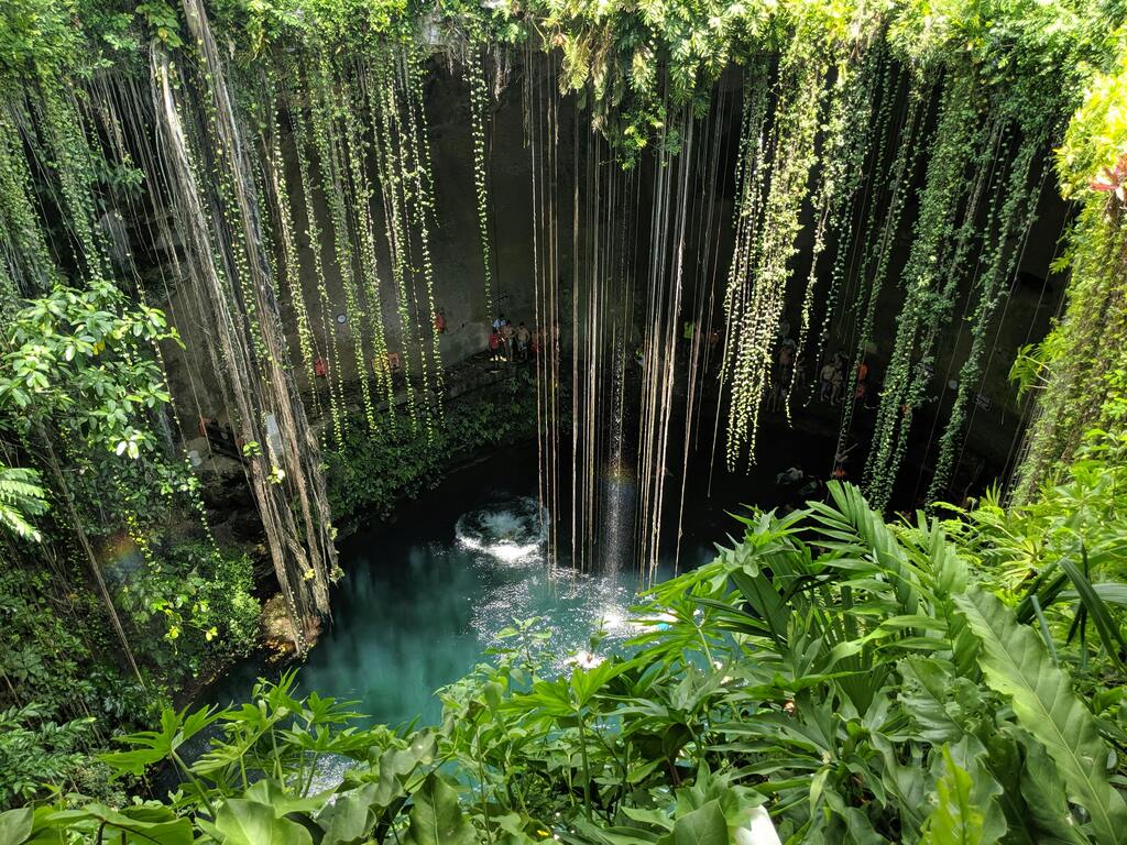 Vista aérea de un cenote rodeado de vegetación exuberante, con lianas colgantes cayendo hacia el agua cristalina.