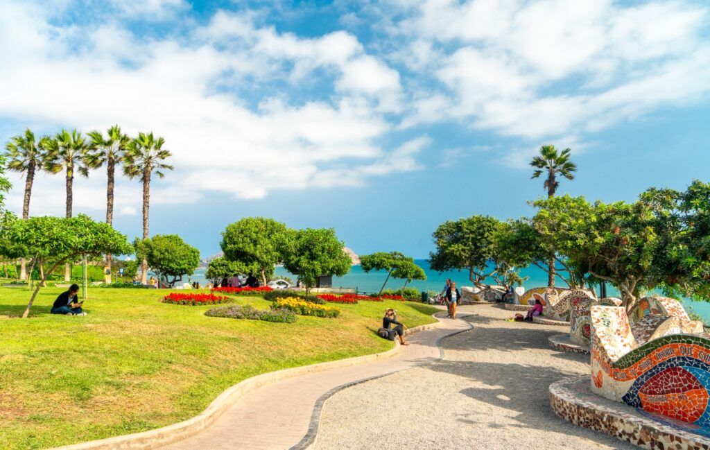 Un exuberante parque tropical con palmeras y césped verde, que da a un océano azul.