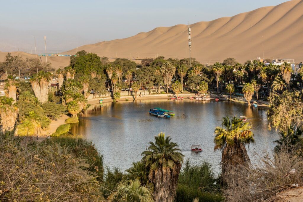 Un lago tranquilo con botes a pedales en un oasis de palmeras. Al fondo hay una gran duna de arena.