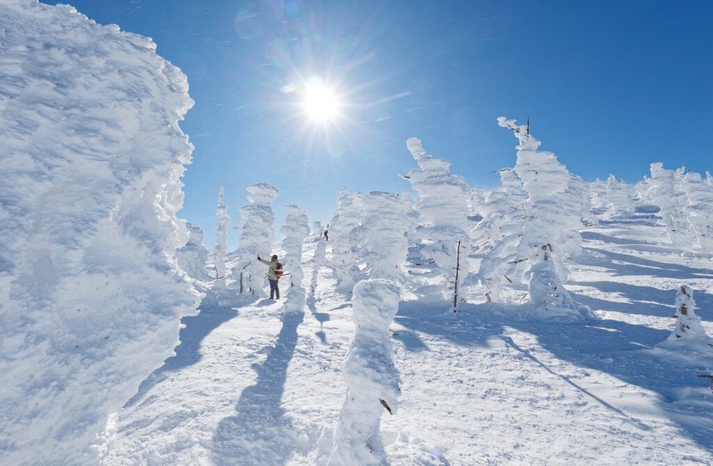 Juhyo o "monstruos de hielo" en Mount Zao bajo el sol en un paisaje nevado.