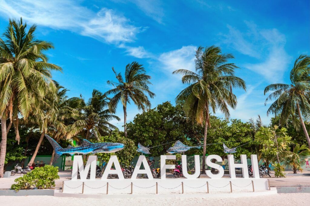 Letras blancas gigantes que forman la palabra 'MAAFUSHI' en una playa, decoradas con figuras de tiburón ballena y mantarrayas, rodeadas de palmeras.
