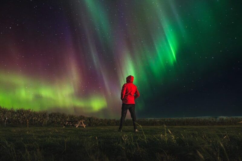 Persona con chaqueta roja contempla una brillante aurora boreal verde y púrpura en el cielo estrellado de Islandia.